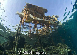 the jetty at Big Brother Island, Red sea by Geoff Spiby 